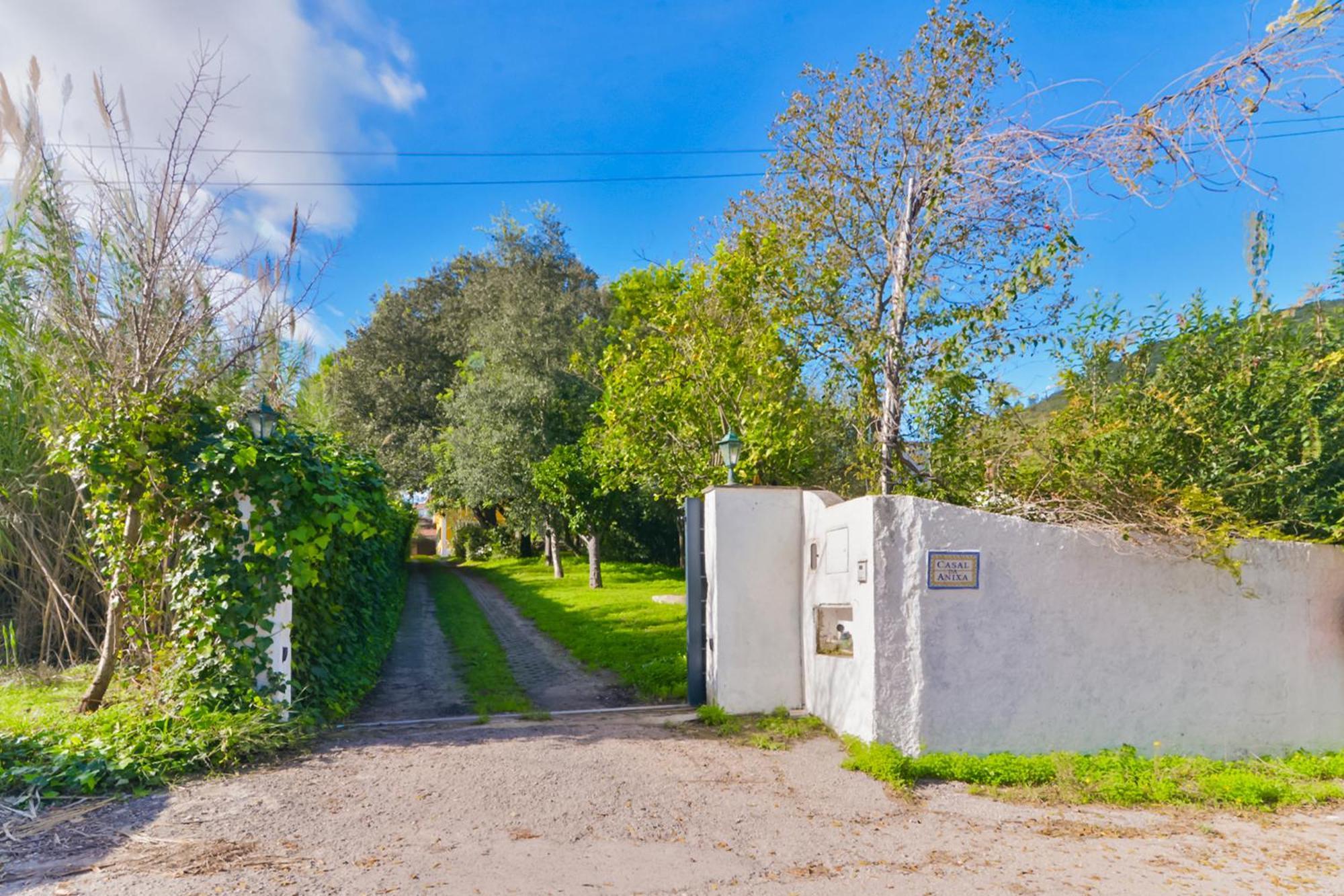 Beach & Nature Villa With Amazing Pool By Timecooler Setúbal Eksteriør billede